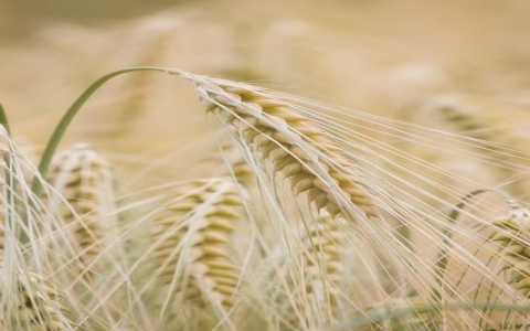 主机端口怎么查-VPS联盟