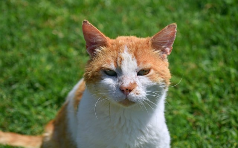 主机名ip地址区别-VPS联盟