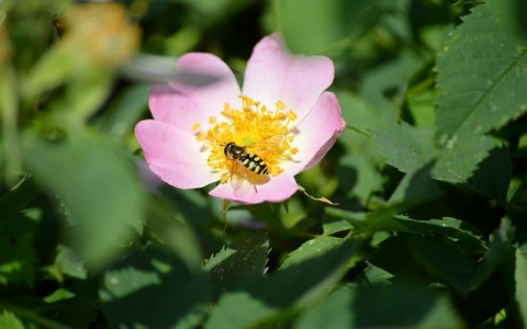 主机可以放在哪比较好-VPS联盟