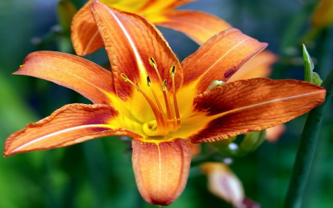 主机点评-VPS联盟