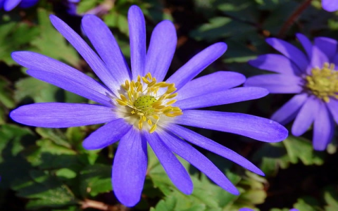 主机是干什么的-VPS联盟