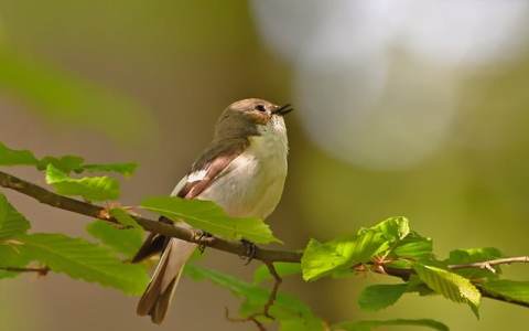 主机房作用-VPS联盟