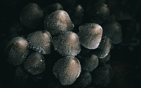 主机名解析和域名解析-VPS联盟