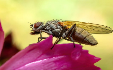 主机房机柜上放网线的架子叫什么-VPS联盟