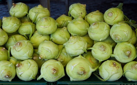 主机控制-VPS联盟