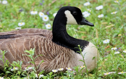 主机的虚拟存储-VPS联盟