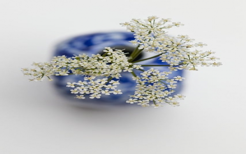 主机命名规范-VPS联盟