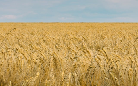 主机地址怎么求-VPS联盟