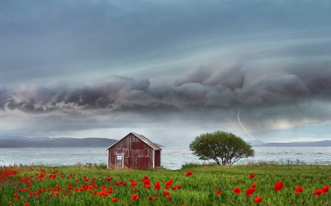 主机管理名-VPS联盟