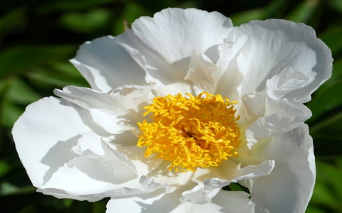 主机名怎么看-VPS联盟