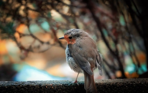 主机服务器免费试用一小时-VPS联盟