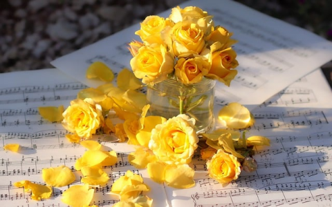 主机管理平台中设置ftp-VPS联盟