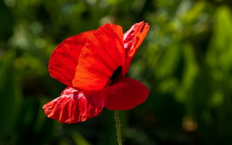 主机机箱查下来方便吗-VPS联盟