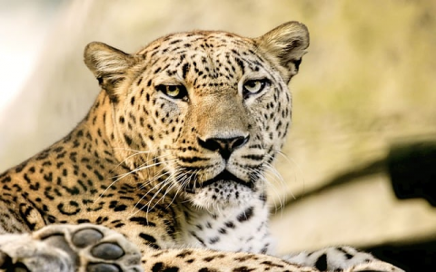 主机改装服务器-VPS联盟