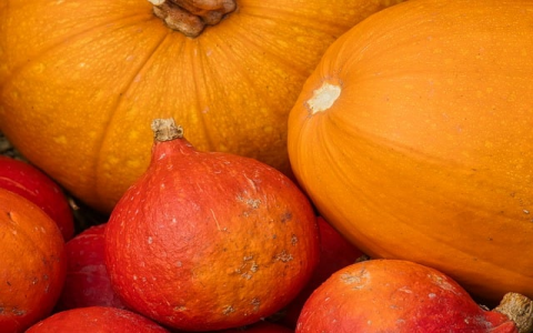 主机和vps的区别-VPS联盟