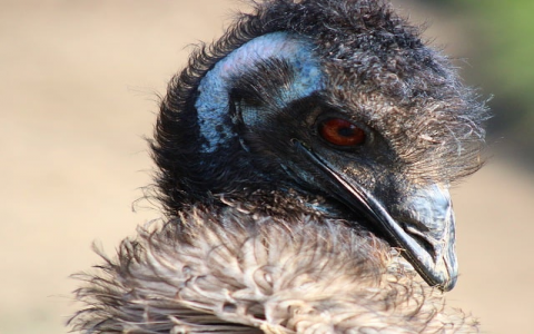 主机计算模式发展动力-VPS联盟