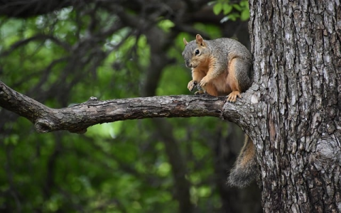 主机分销系统免费加盟-VPS联盟