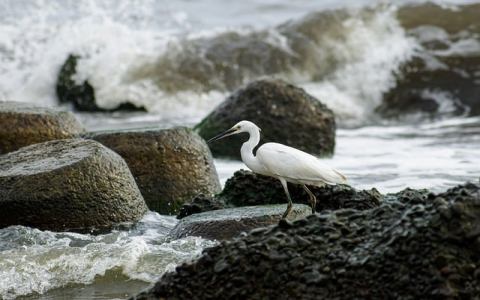 主机管理系统-VPS联盟