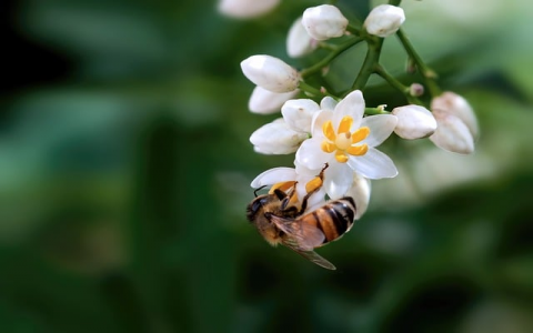 主机后面图片-VPS联盟