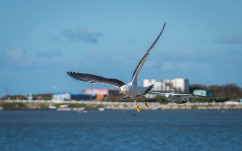 主机建站-VPS联盟