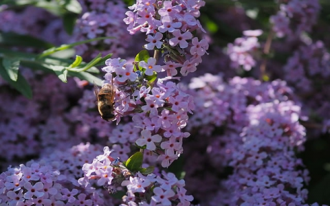 主机后面一个电脑标识的是什么-VPS联盟