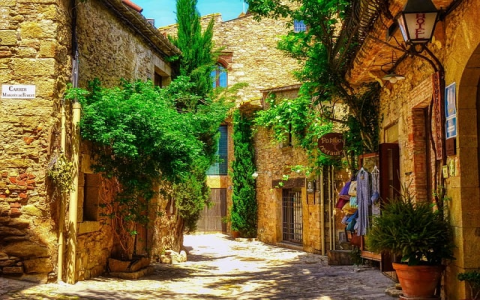 主机控制面板功能-VPS联盟