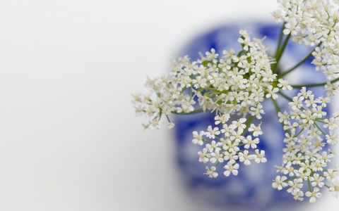 主机控制分机上网-VPS联盟