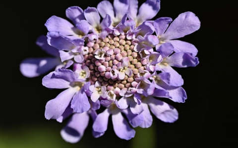 主机到主机数据包传输过程-VPS联盟