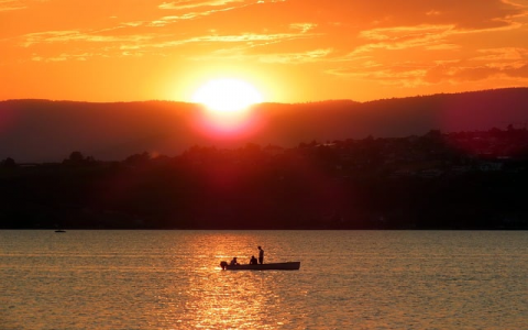 主机集群-VPS联盟