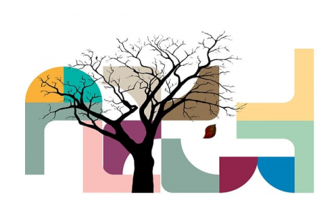 主机使用的地址范围-VPS联盟