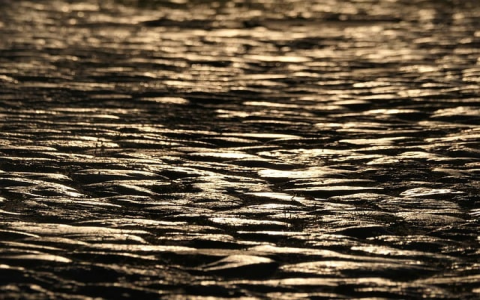 主机服务器选购-VPS联盟