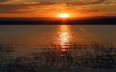 主机合租zhujihezu-VPS联盟