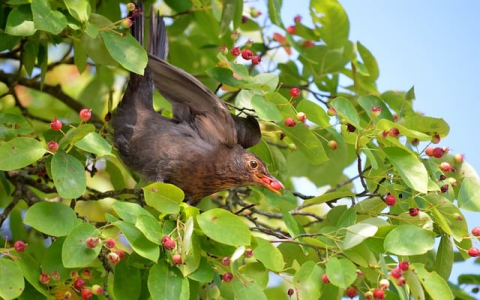主机的文件解压缩-VPS联盟