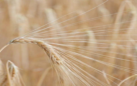 主机的零件碰到502-VPS联盟