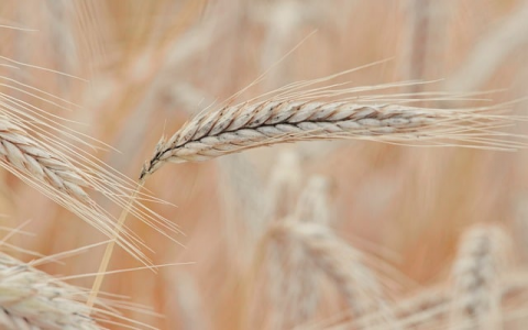 重庆动态vps-VPS联盟