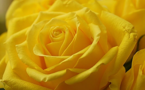 中豫网络数据中心-VPS联盟