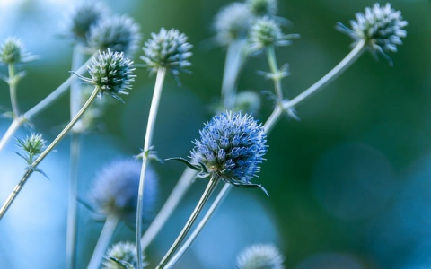 重庆双线服务器托管-VPS联盟