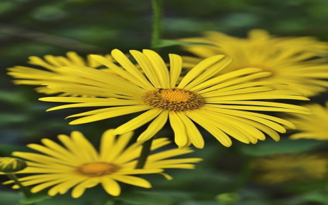 重庆联通数据中心-VPS联盟