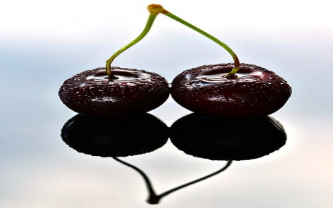 重庆移动机房维护-VPS联盟