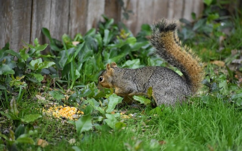 重庆联通云服务器-VPS联盟