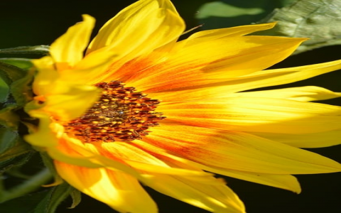 重庆服务器地址-VPS联盟