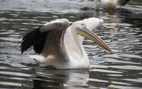 重庆 高端服务器-VPS联盟
