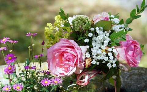 主机操作系统有哪些-VPS联盟