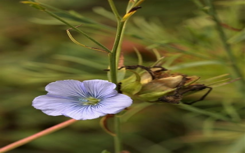 主机备案 多久-VPS联盟