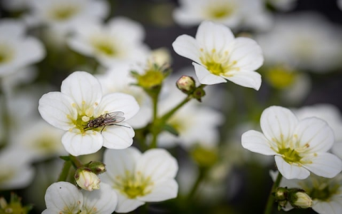 重庆机房托管-VPS联盟