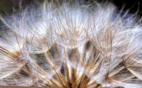 中心机房介绍-VPS联盟