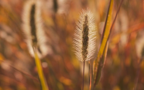 主机打不开-VPS联盟