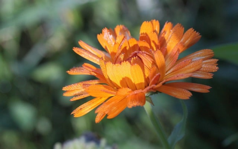 重启服务器正常-VPS联盟