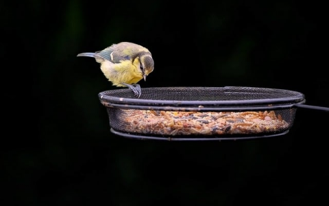 重庆电信机房管理人员-VPS联盟