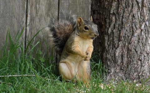 重庆水土电信机房 ppt-VPS联盟